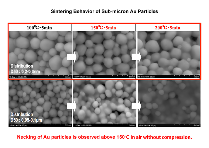 図1　ナノスケールの金粒子は200～400nm径が最適