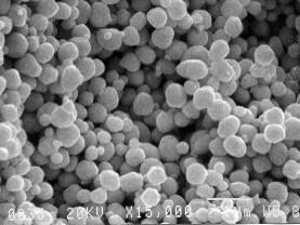 Sintering AuRoFUSE™ at 200℃ for 5 min