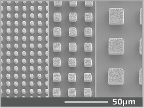 SEM images of bumps of various sizes with free shape design