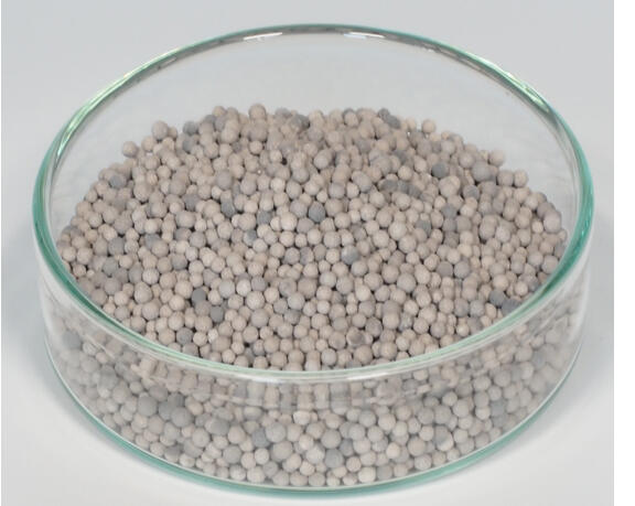 Reforming Catalyst for Carbon Dioxide (O2)