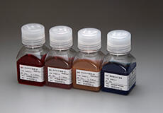 Image 3 of Acceptance of Terms