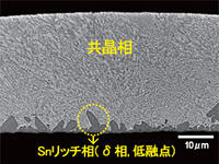 [AuSn組成の違いによるリッド断面組織の変化]AuSn21.5