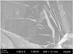 SJeva SEM写真 溶解前