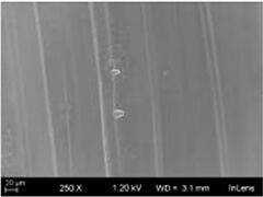 SJeva SEM写真 溶解後