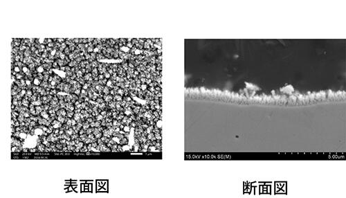 組成の違いによる水素透過係数の温度依存性の違いについて-2