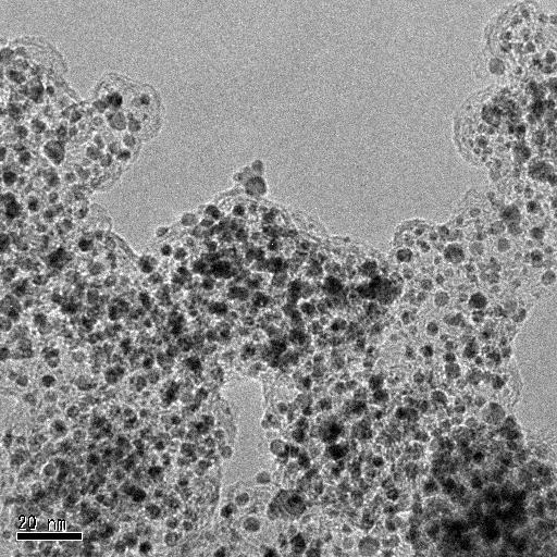 TEM image of PtRu catalyst