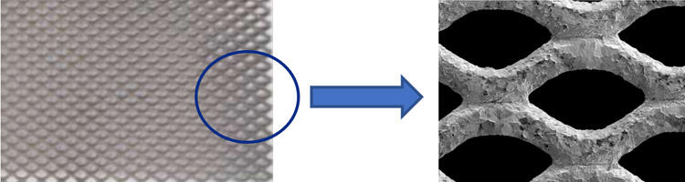 Appearance and magnified image of titanium expanded electrode