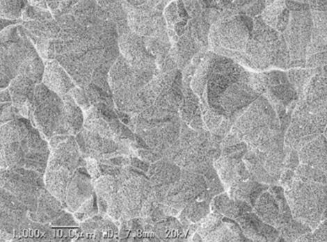 SEM image of platinum 0.1 µm on the surface of insoluble electrodes