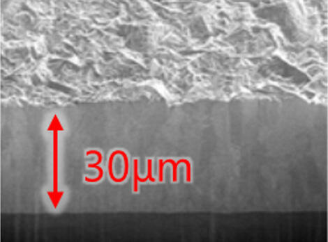 SEM image of cross section of insoluble electrodes Platinum 30.0µm