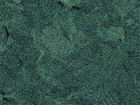 SEM-EDX Pt mapping image of Micro Plate