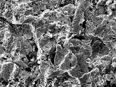 SEM×1000 image of normal plating