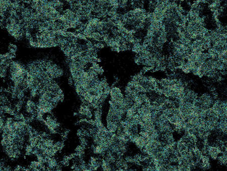 SEM-EDX Pt mapping image of normal plating