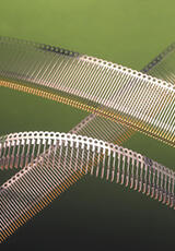 Image of Gold Alloy Plating