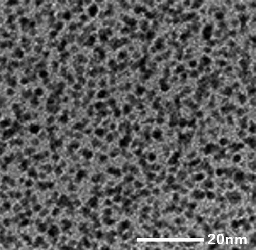 貴金属ナノ粒子: Pt PVP TEM画像