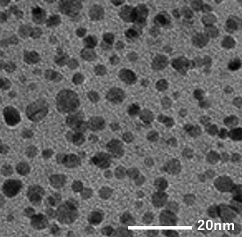 貴金属ナノ粒子: Pd PVP TEM画像