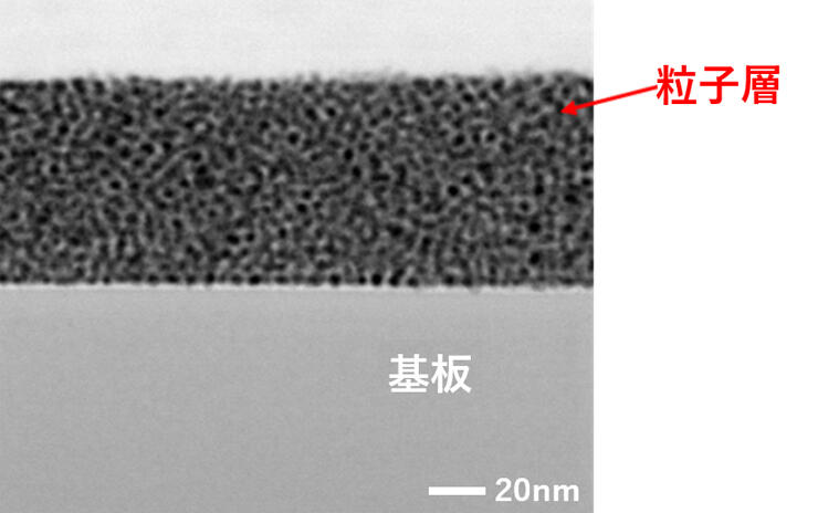 スピンコートで製膜された粒子の断面画像