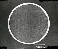 Platinum Clad Wire (Magnified Cross Section)