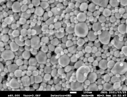 SEM image of Ag particles