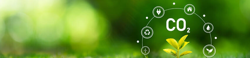 The Role of Precious Metals in Contributing to Carbon Neutrality