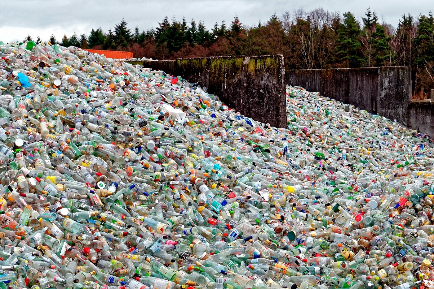 Human Made Materials Now Outweigh Earth S Entire Biomass Study Tanaka Precious Metals Human Made Materials Now Outweigh Earth S Entire Biomass Study Tanaka Precious Metals