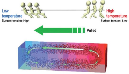 図2. マランゴニ効果が高温/低表面張力から低温/高表面張力への成分材料の液相での流れを説明する。