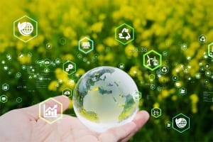 ロボットを触る人