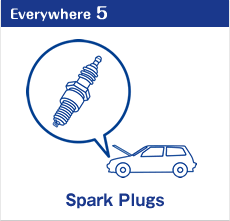 TANAKA Everywhere! 5 Spark Plugs