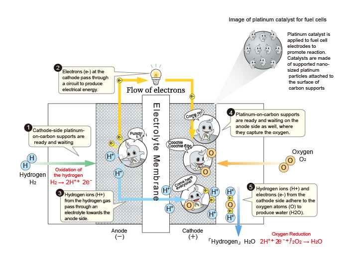 Principles of ProtonExchange Membrane Fuel Cells and Role of Platinum
