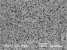 CoCrPt-SiO2ターゲット中の酸化物分散状態の例(黒点:SiO2、マトリックス:均一なCoCrPt合金)