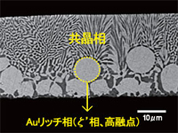 AuSn組成の違いによるリッド断面組織の変化のイメージ（AuSn20）